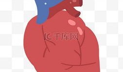 心脏漫画图,心脏结构与功能图解